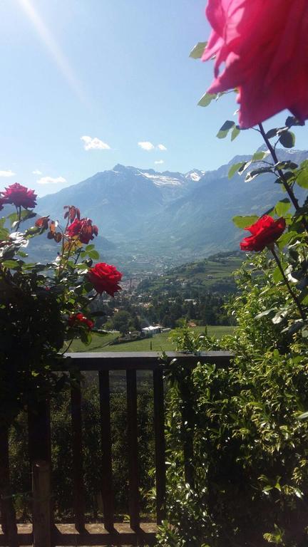 Schwarzplatterhof Apartment Merano Exterior photo